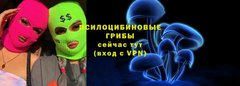 цена наркотик  Волосово  Псилоцибиновые грибы Cubensis 